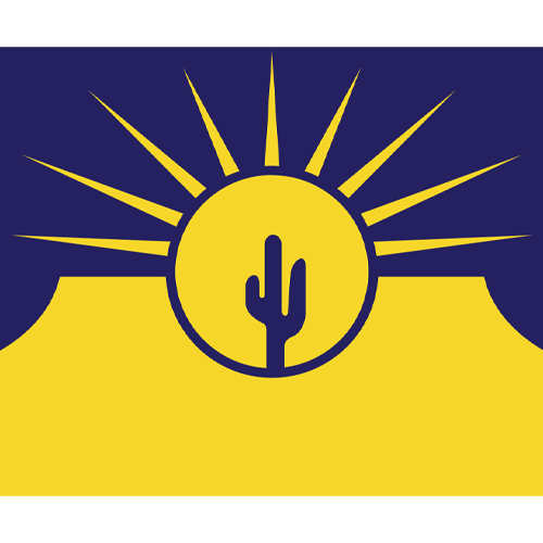Logo of Solar Detach & Reset featuring a sun and cactus design, representing solar services in Mesa, AZ.