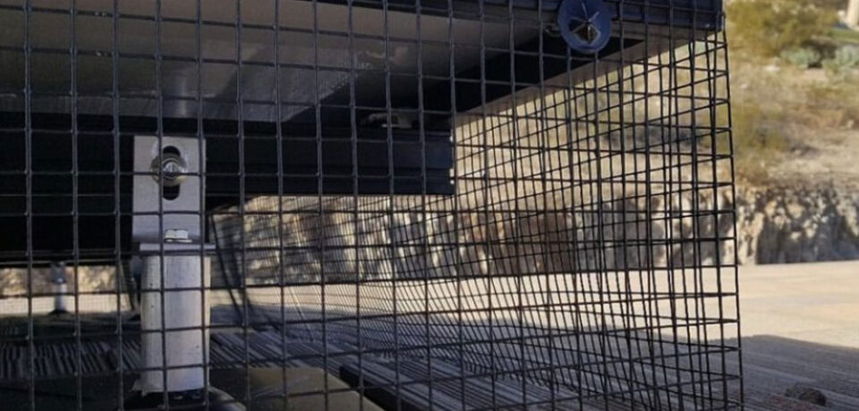 Durable PVC-coated mesh installation for solar panel protection against nesting birds and critters, ensuring optimal performance and longevity.